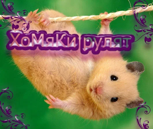09172a5fa4e9c8b7b12e20be4a8673fd.webp