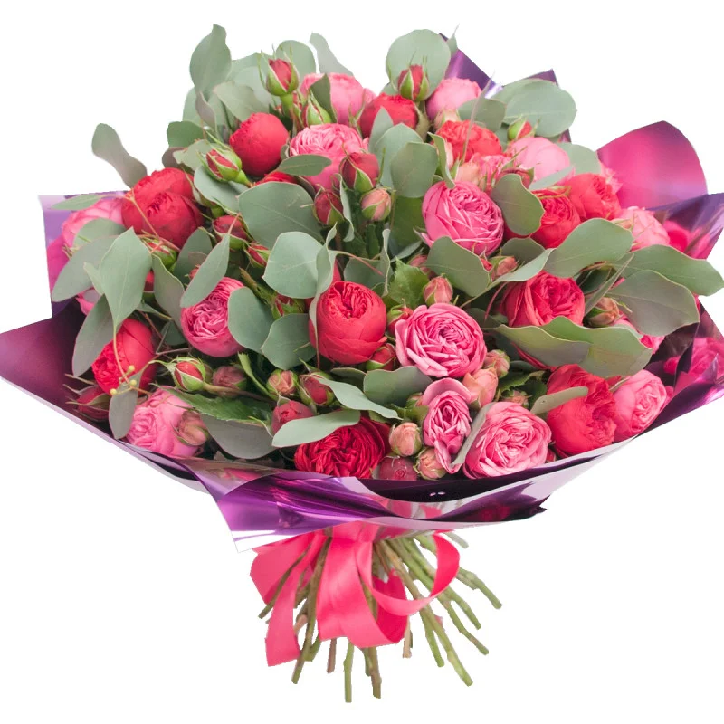 0934823423_COR_564774883_775849903-800x800 (1).webp