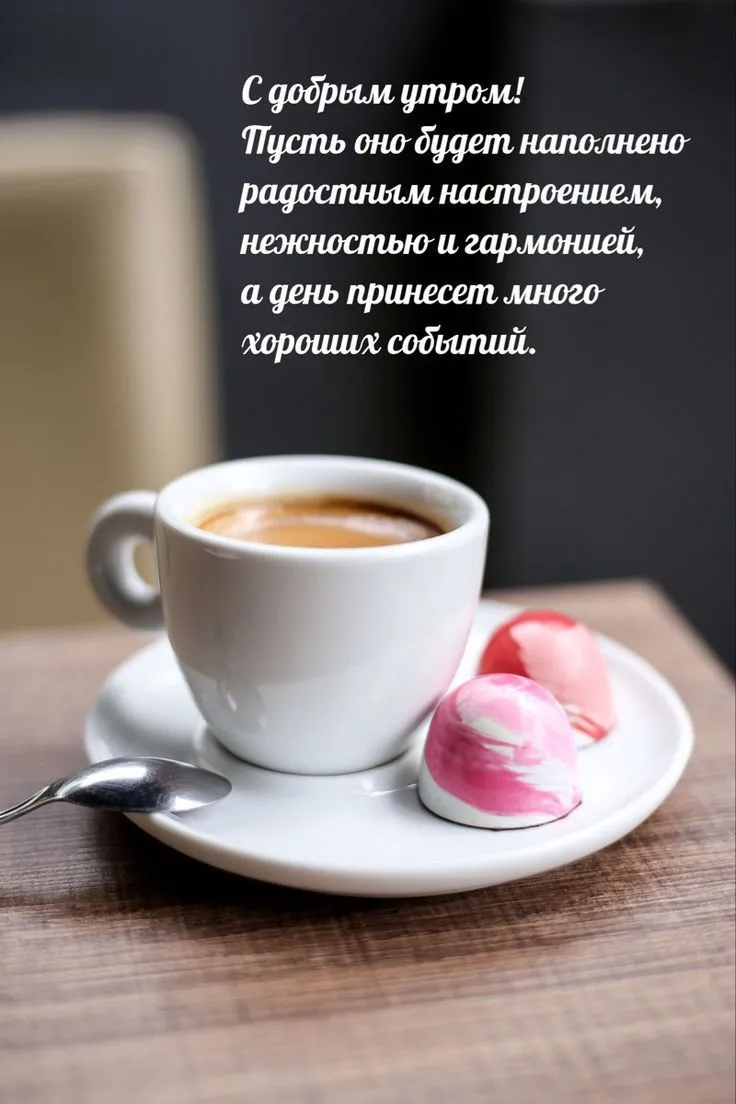 098aa72ae28c465a8174c63d0c9a53c3.webp