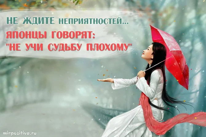 0_1cb0a6_c58da82b_orig.webp