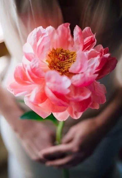 0_211bd_ffa0efолcc_XL.webp