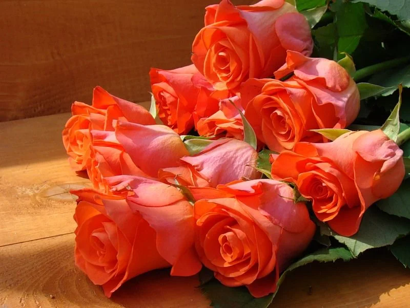 0_25a2b_d9cdeddf_XL.webp