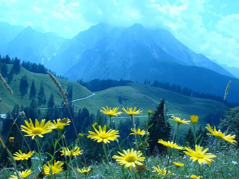 0_30db_3b8a49c0_XL  berge.webp