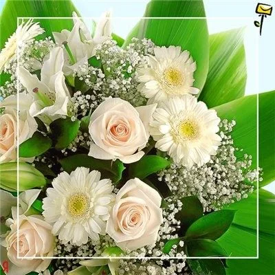 0_4ef73_86c0c173_L.webp