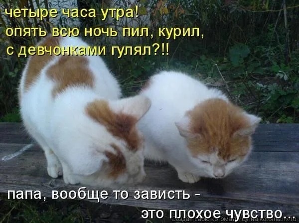 0_59a34_fa8da8c6_XL.webp