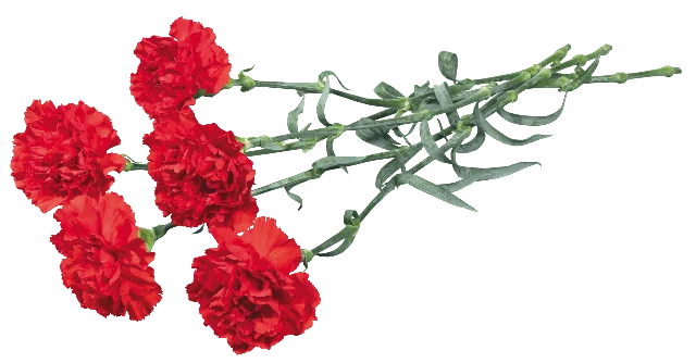 0_5b489_f827e07f_XL.webp