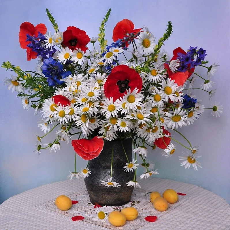 0_5cd73_70ce3c5d_XL.webp