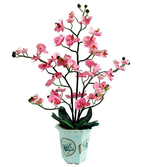 0_76fa3_f5421bf7_XL.webp