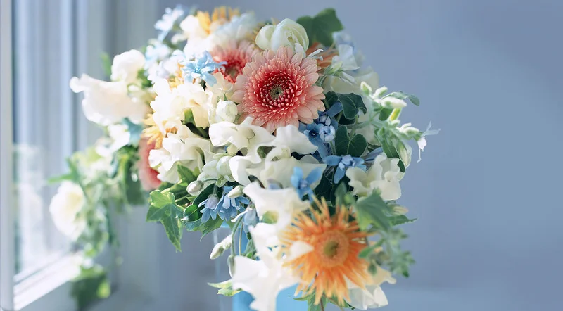 0_83f10_6038c381_XL.jpeg.webp