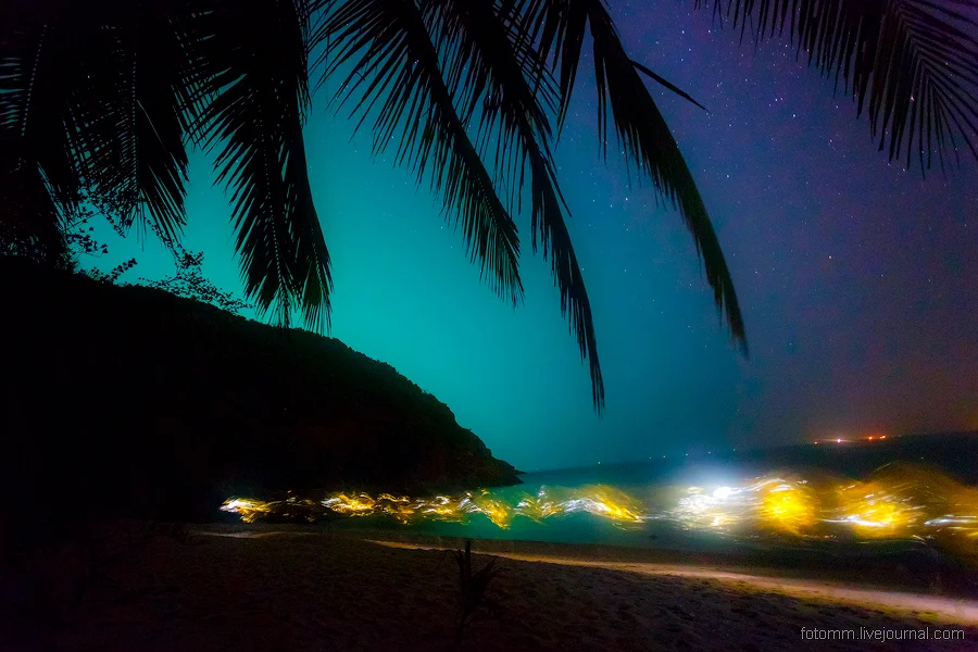 0_a258e_40f8f3ff_orig (1).webp