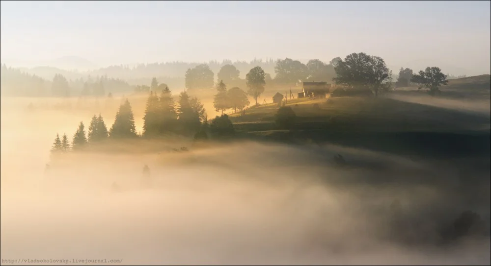 0_df309_f5bf5ff9_orig.webp
