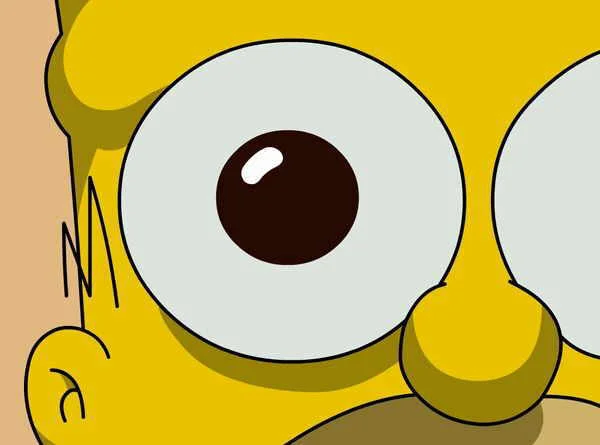 0_homer.webp