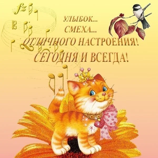 0a131880df4485103006aba8598edc04.webp