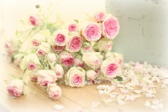 0b207d5bb83458b27ad3a22730b3d9a1.webp