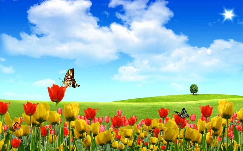 0b3ec89a4a26552a4c8736cee21c68ac.webp