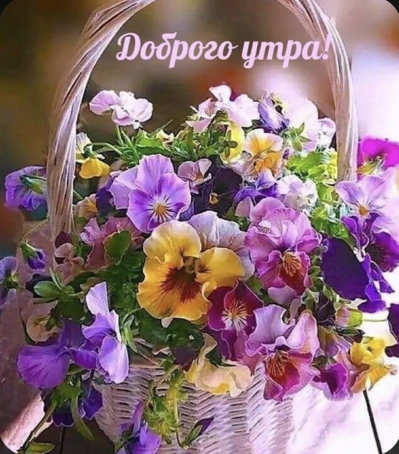 0C4F5C39-330D-45E0-A0E9-7F4AE8ED99AD.jpeg