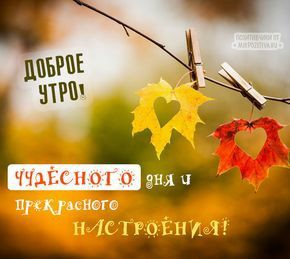 0d44f0ceced85281865beff72155c74a.jpg