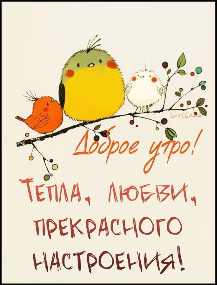 0ddb2dc6d7c0eee3f67e697e0f14bfbc (1).webp