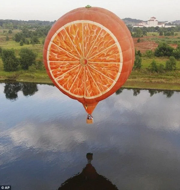 0e03d1a220d5a11a8d28628e52063c5f--orange-fruit-big-balloons.webp