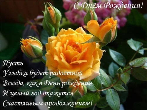 0e8483c1b339.webp
