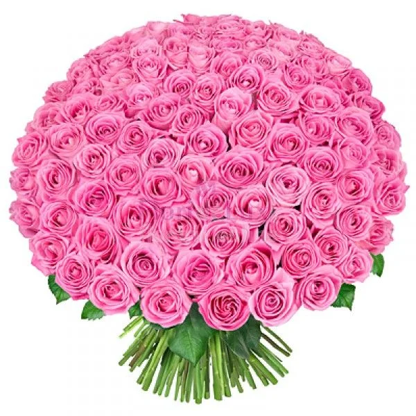 0fdc2576188a.webp