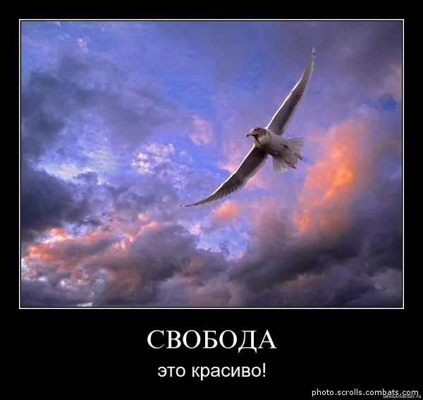 0NieGGtLaaCrTEEpMenmA5KqksFlkrx4LuUVBc05g.webp
