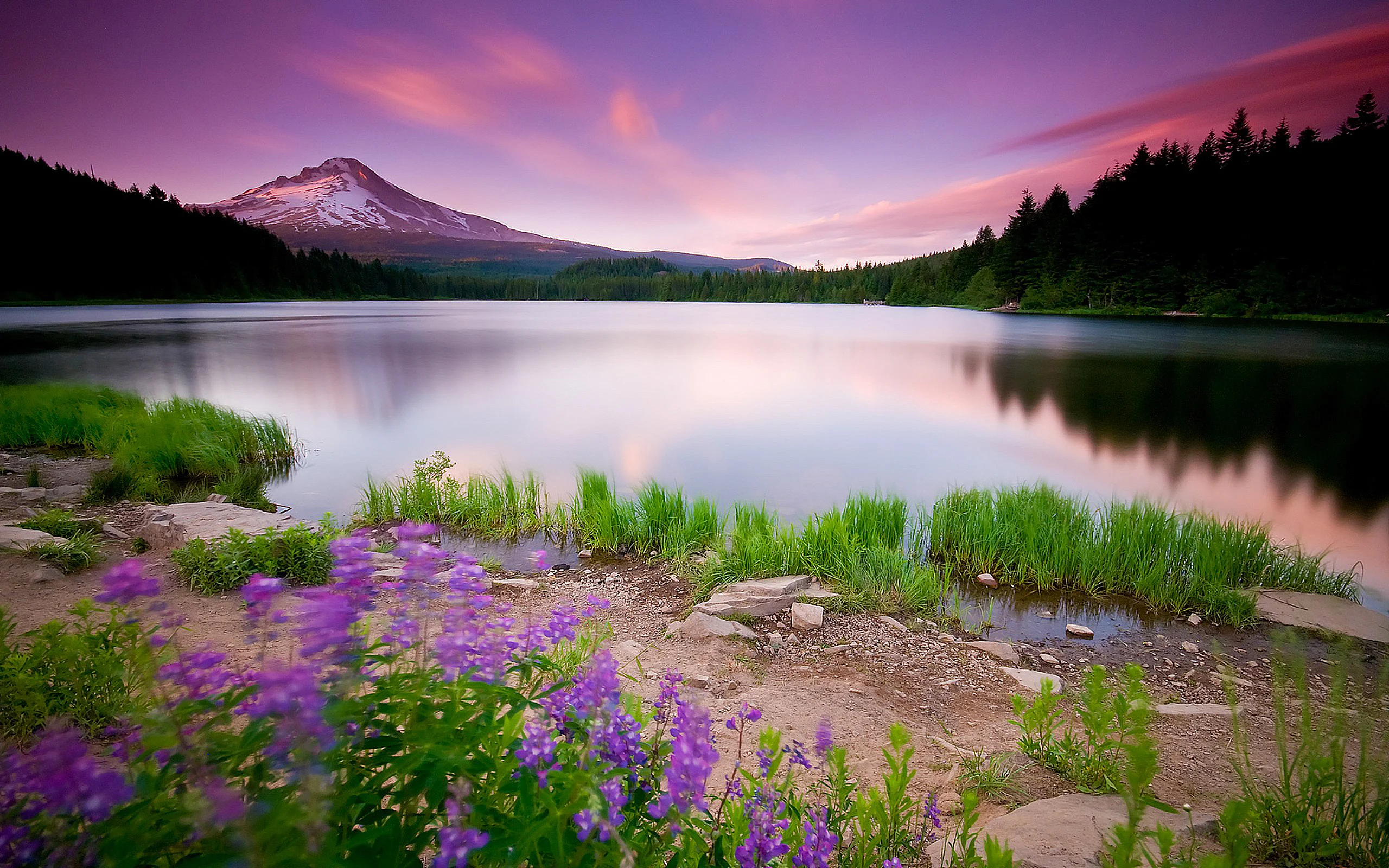 1 14.webp