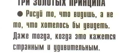 1 (2).webp