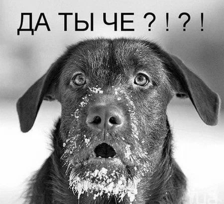 1 да ты че.webp