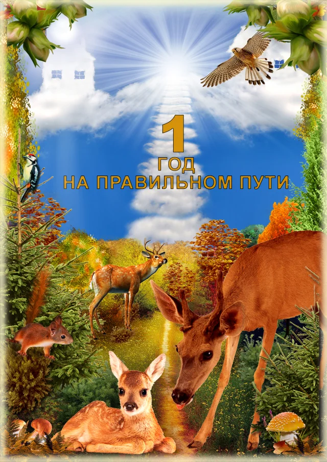 1 год.webp