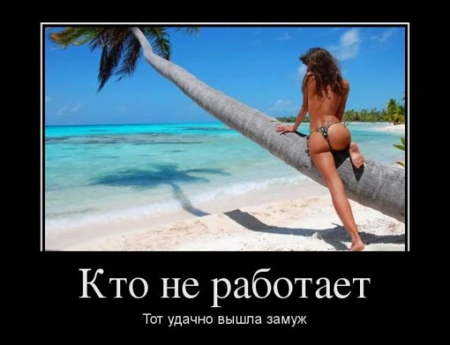 1 кто не работает.webp