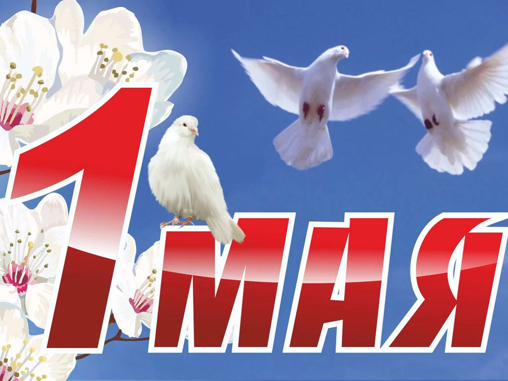 1-maya.webp