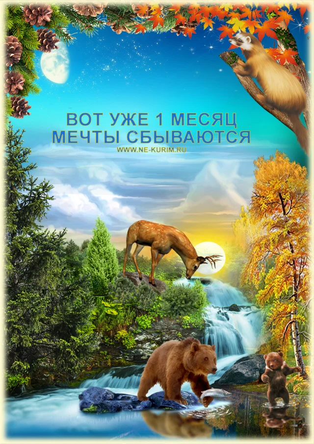1 месяц.webp