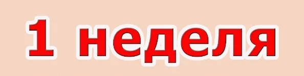1 неделя.webp