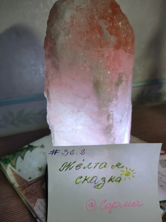 1 питомец.webp