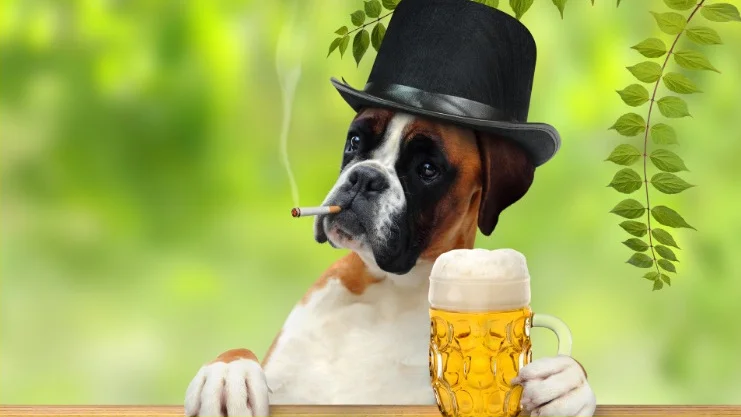 1 собака курит - копия.webp