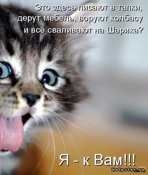 1.webp