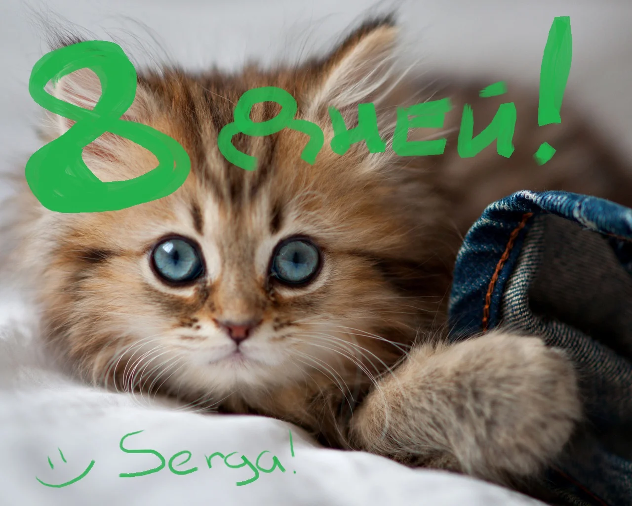 1.webp