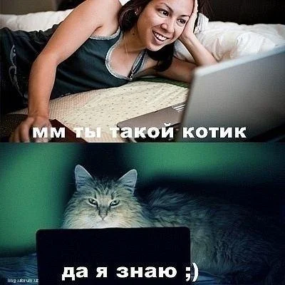 1.webp