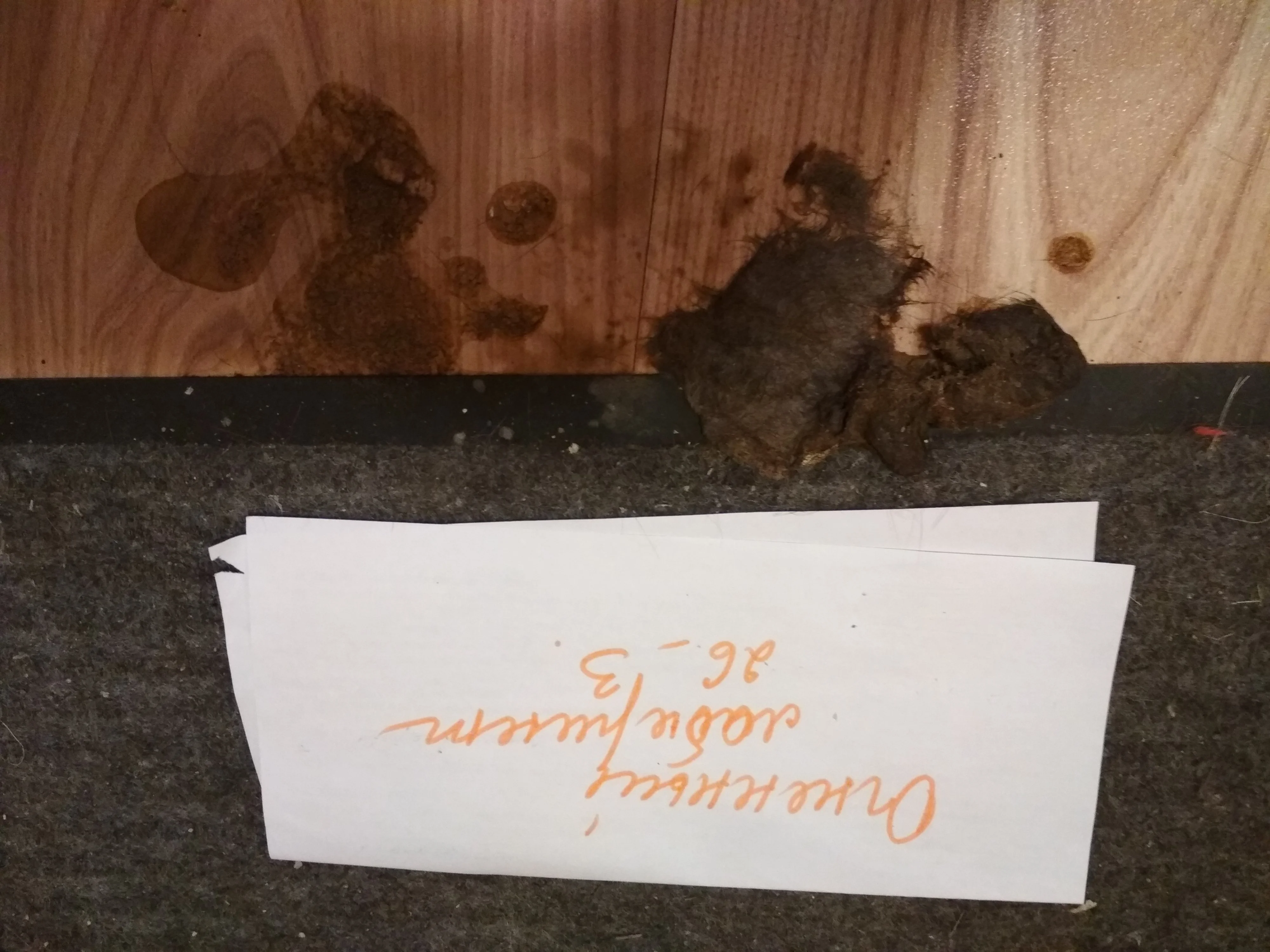 10 Противное.webp