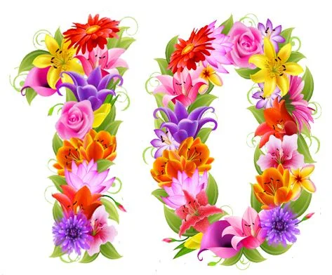 10.webp