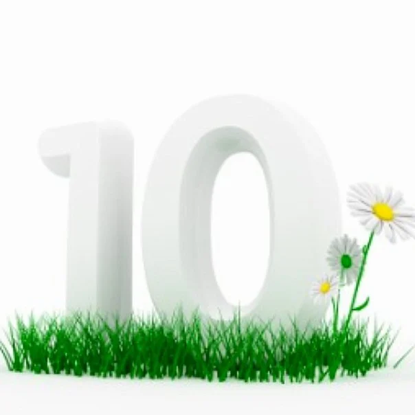 10.webp