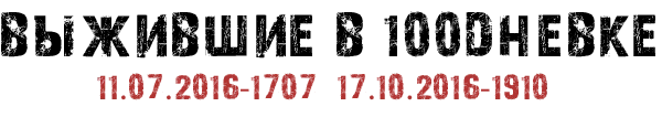100 1.webp