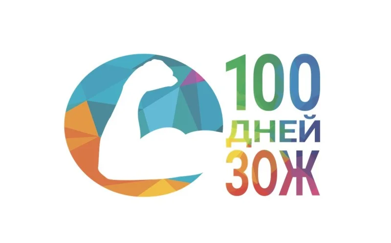 100 дней ЗОЖ НГУЭУ-2017.webp