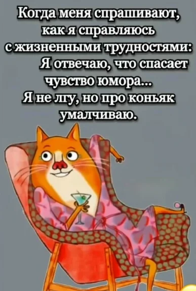 1000001122.webp