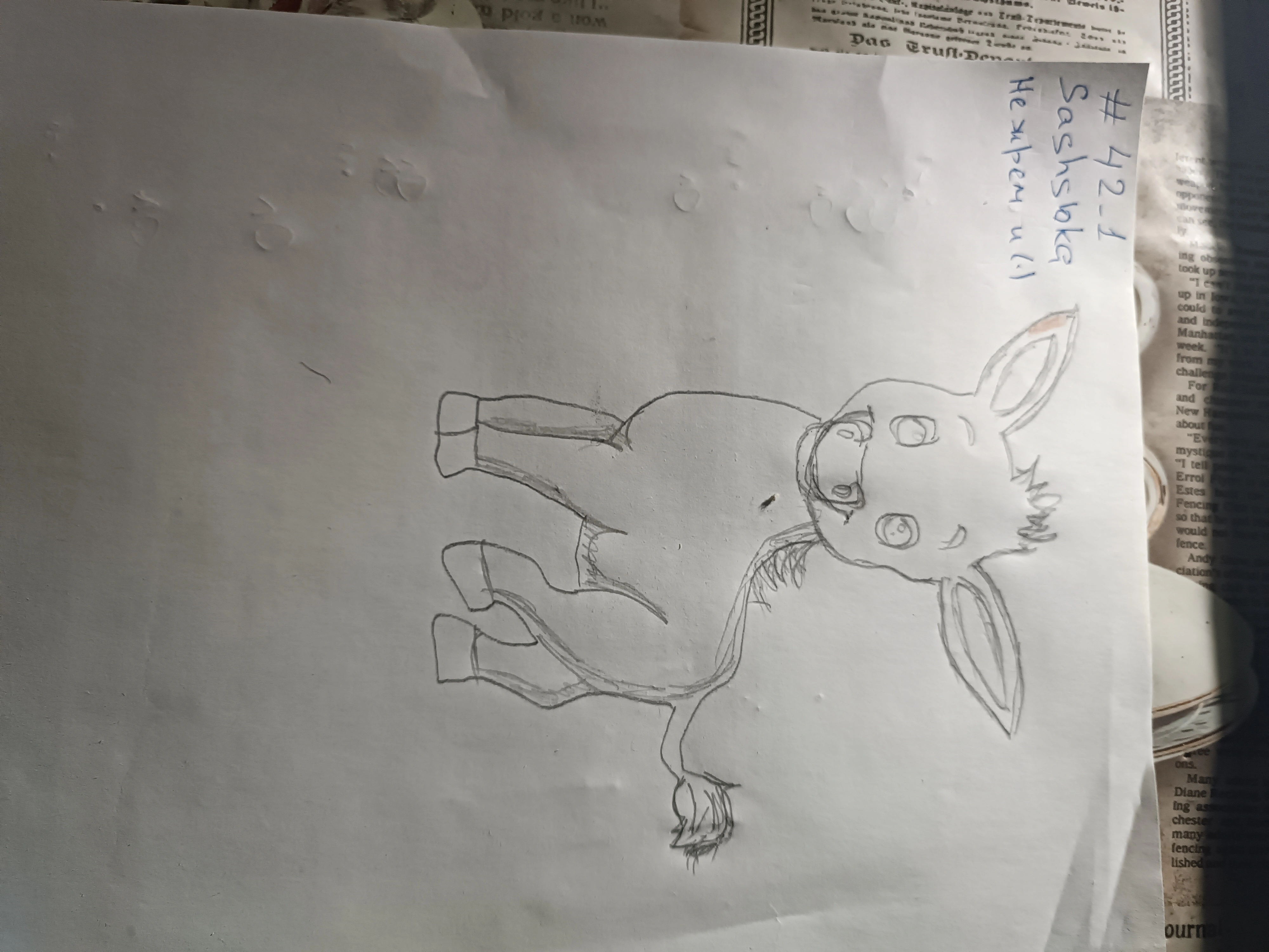 1000001209-webp.2200830