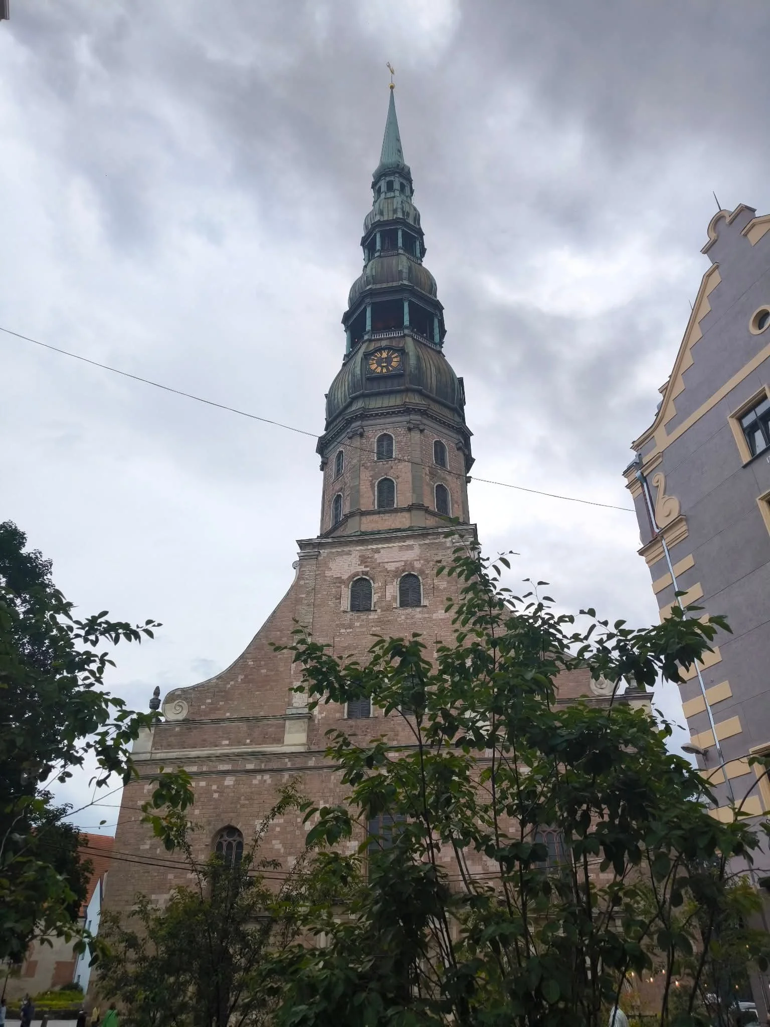 1000006415.webp