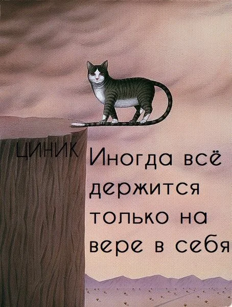 1000006532.webp