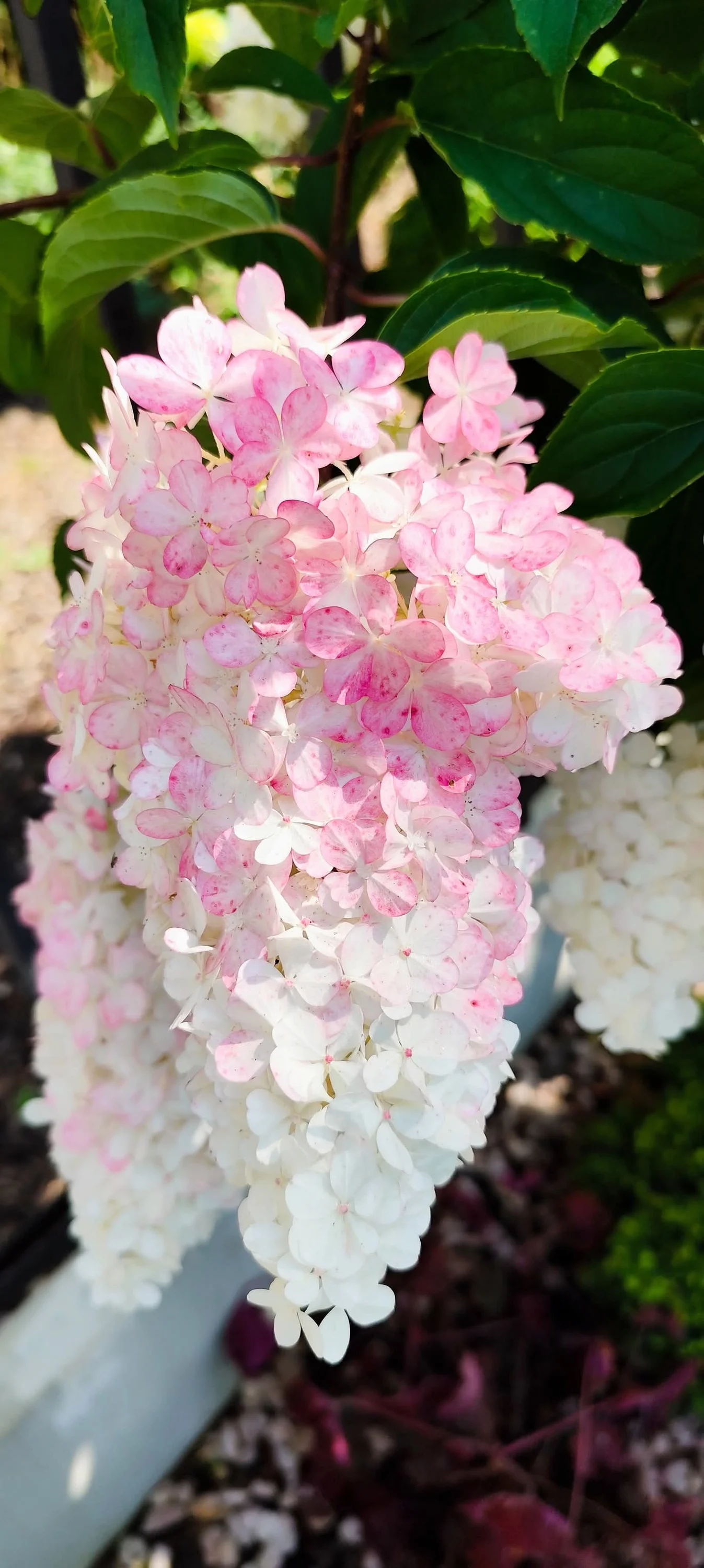 1000006551.webp