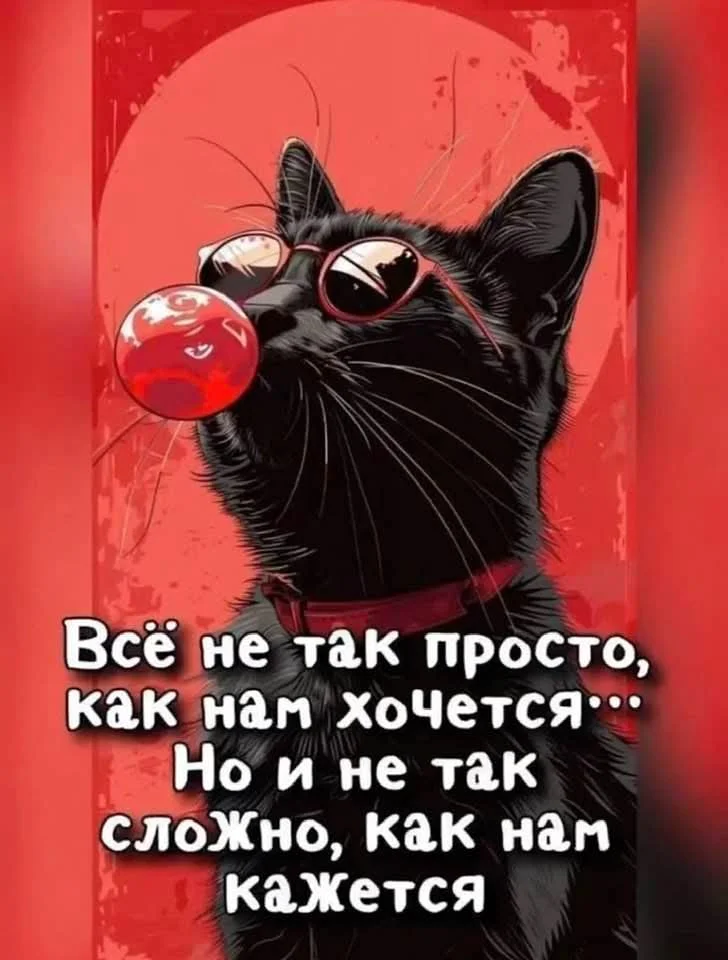 1000006590.webp